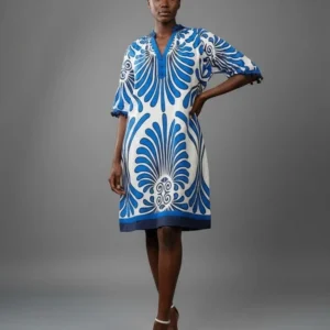 Blue Ruffle Neck Dress